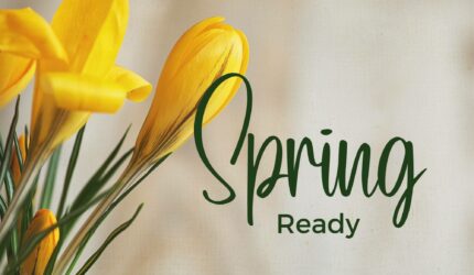 Spring flowers as a sign to de-winterize and clean your home
