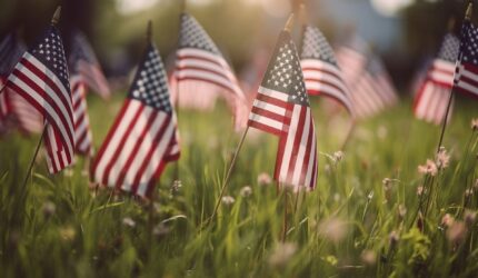 honoring veterans day in Texas