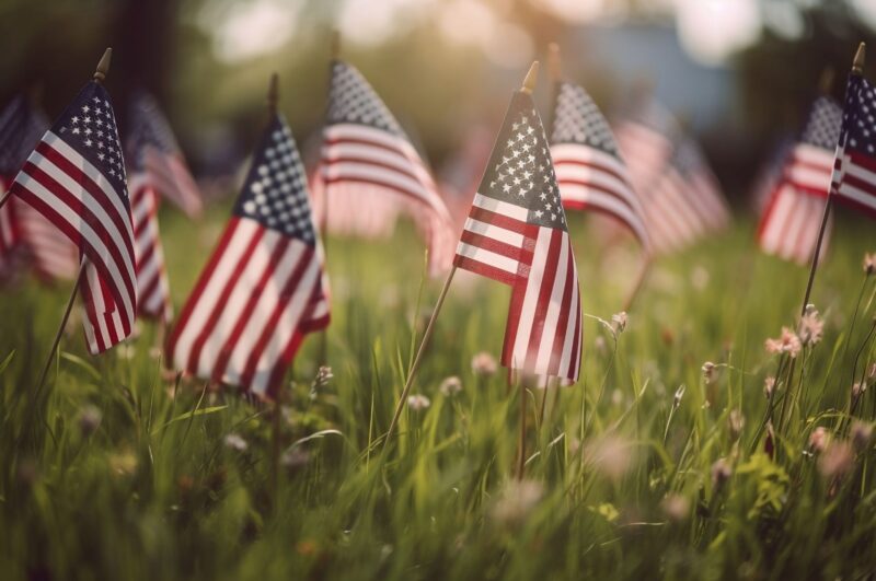 honoring veterans day in Texas